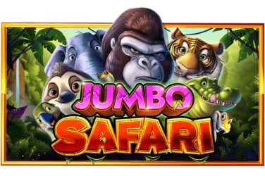55bet